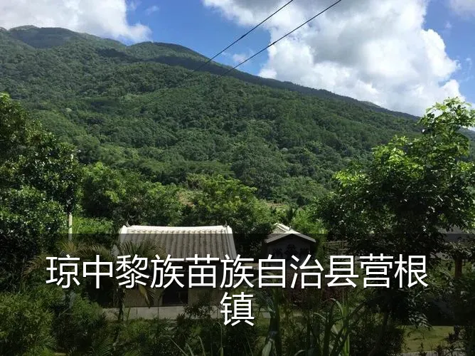 琼中黎族苗族自治县营根镇